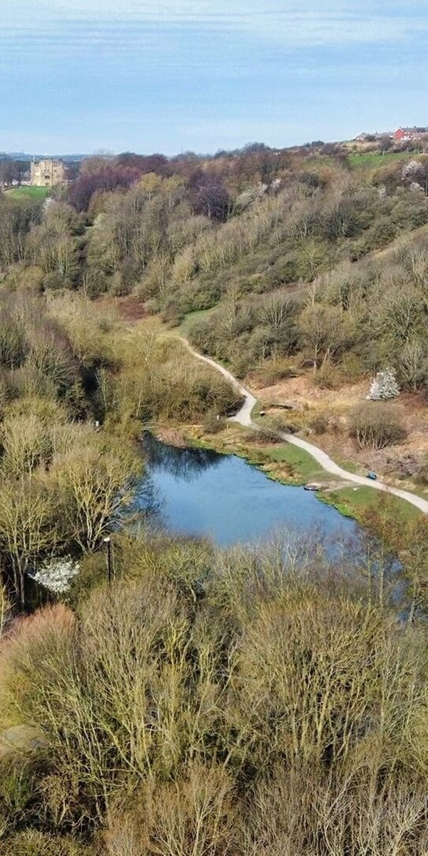 Hylton Dene Pond Arial